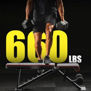 Yoleo Adjustable Weight Bench for Full Body Workout